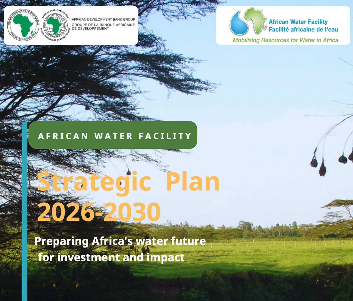 AWF Strategic Plan 2026–2030 cover