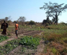 Une étude pour développer la petite irrigation en Zambie