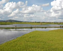 Des plans d’investissement pour l’assainissement de huit villes à Madagascar