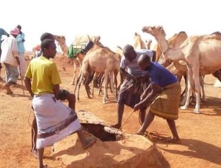 La FAE contribue au renforcement de la résilience au changement climatique pour des millions de pasteurs en Somalie