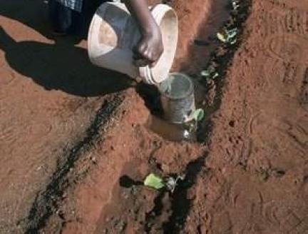 La FAE promeut le développement de services d’eau multi-usages mené par des communautés Sud-africaines au profit de régions rurales et péri-urbaines