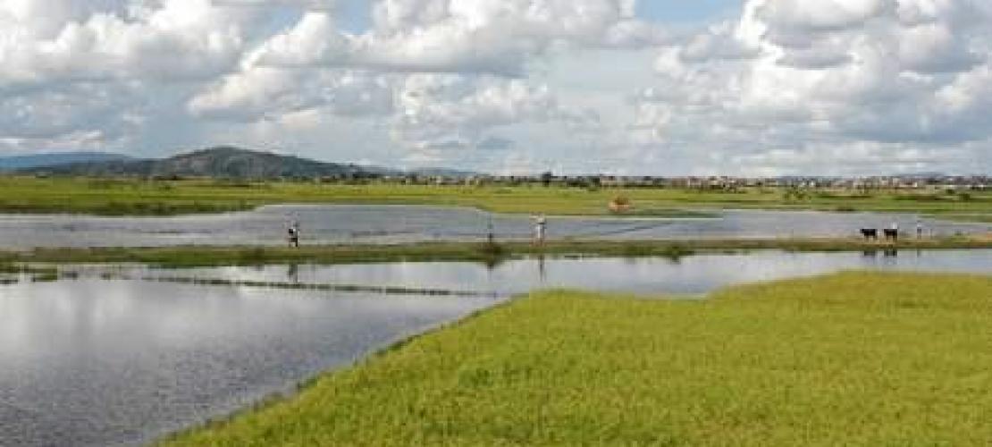 Des plans d’investissement pour l’assainissement de huit villes à Madagascar