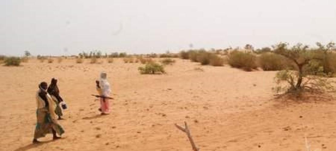 Bassin du Niger : FAE soutient un programme d’infrastructure pour accroitre résilience au changement climatique et sécurité alimentaire