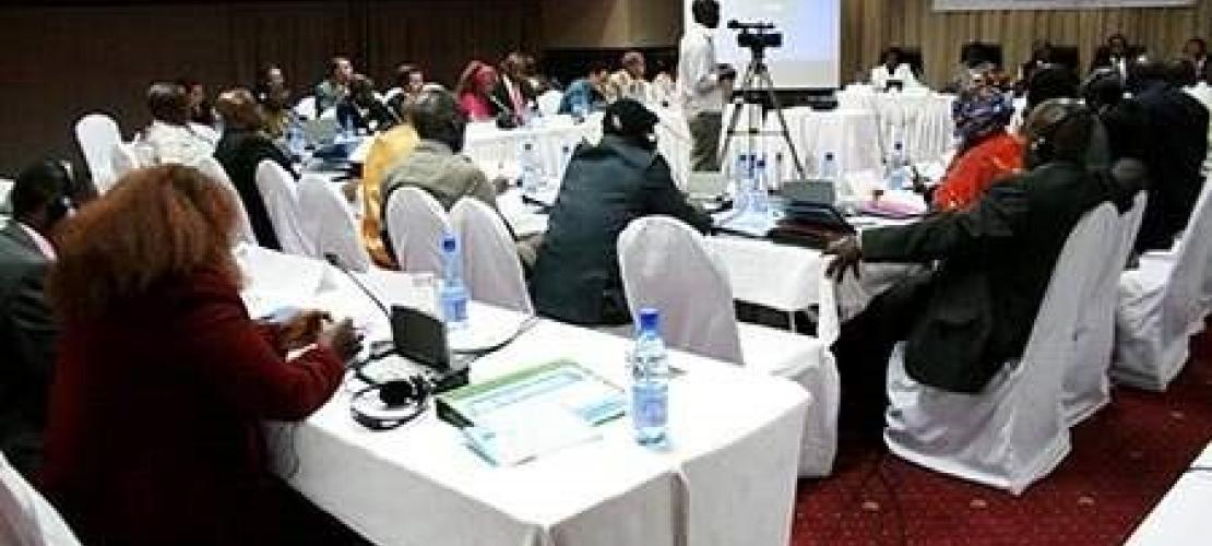 Organisation d'un atelier international sur le suivi et l'évaluation au Malawi afin de stimuler la performance du secteur de l'eau