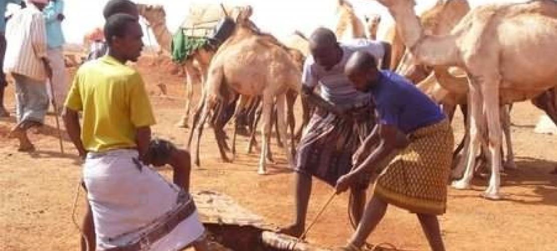 AWF helps build resilience to climate change for millions of pastoralists in Somalia	